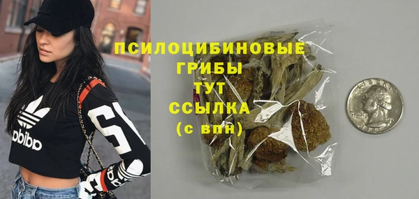 спиды Абаза