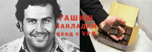 индика Алзамай