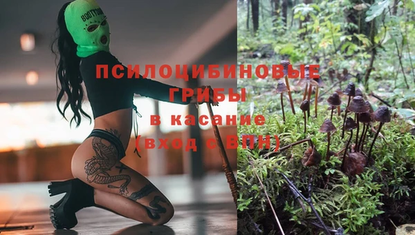спиды Абаза